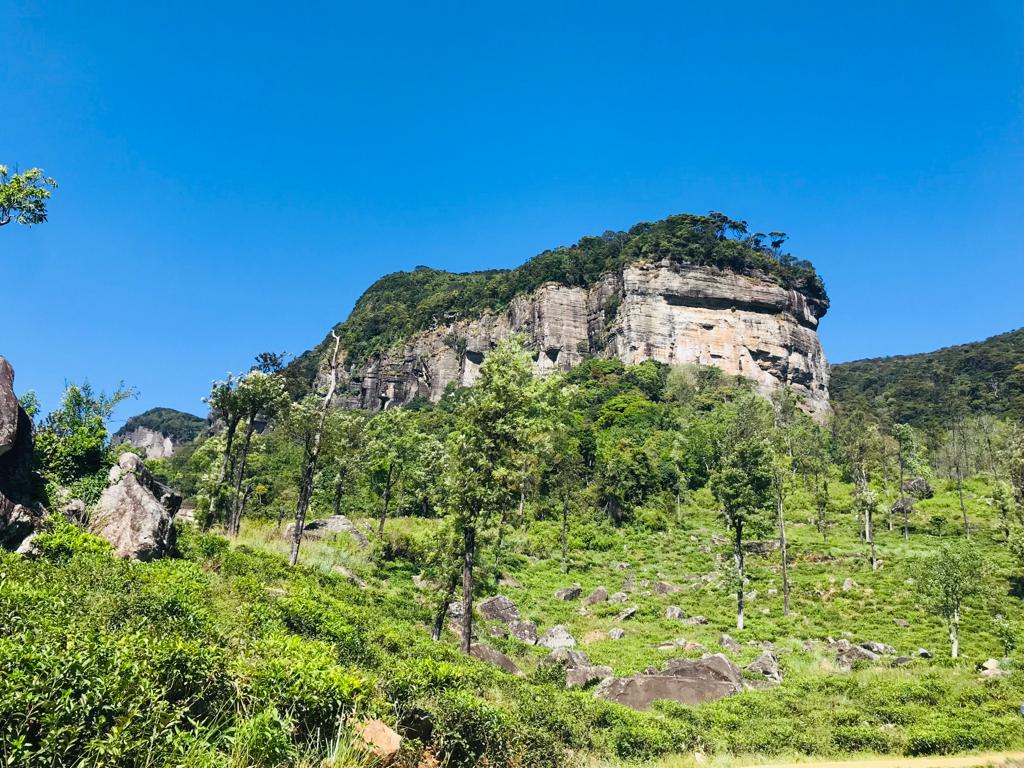 Loolecondera Tea Estate 