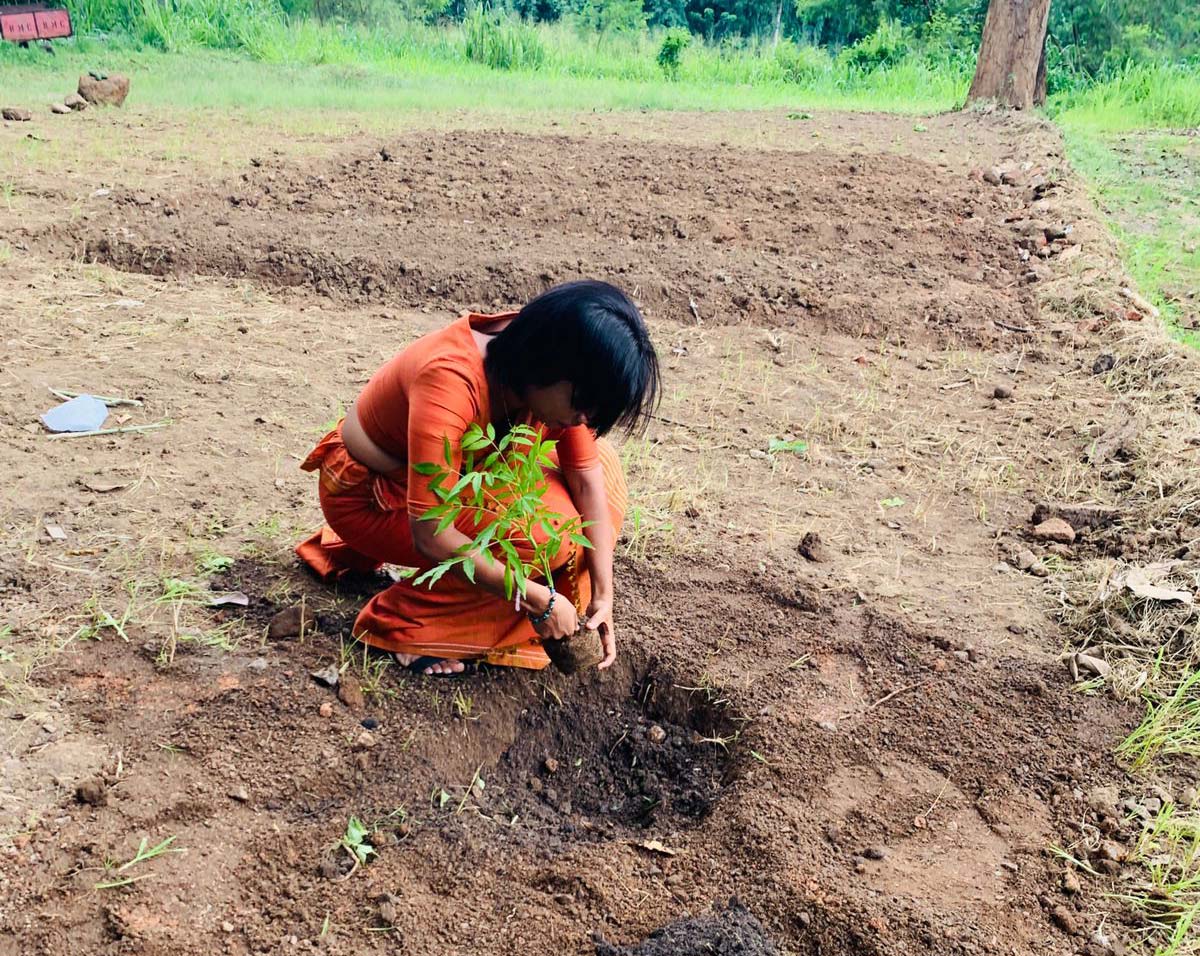 One Person – One Plant 